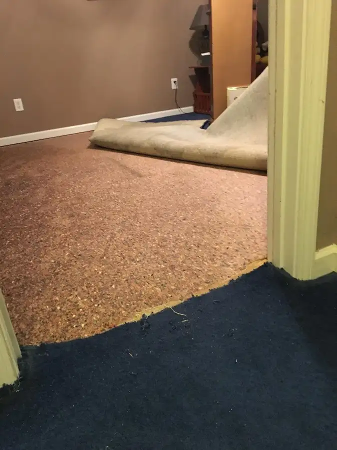 Carpet pad removal revealing water damage during Water Mitigation Services in McKees Rocks