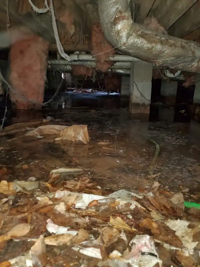 Crawl space flood assessment for Commercial Water Damage Restoration in McKees Rocks